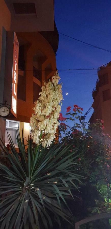 Apartment Vake Τυφλίδα Εξωτερικό φωτογραφία